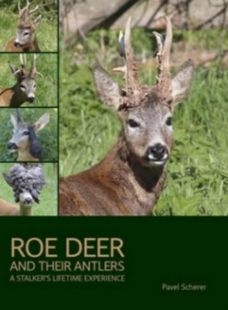 Roe Deer and their Antlers - 