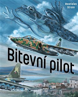 Bitevní pilot - 