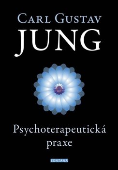 Psychoterapeutická praxe - Příspěvky k problému psychoterapie a psychologie přenosu