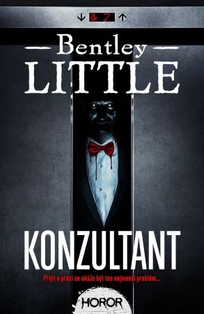 Konzultant - 