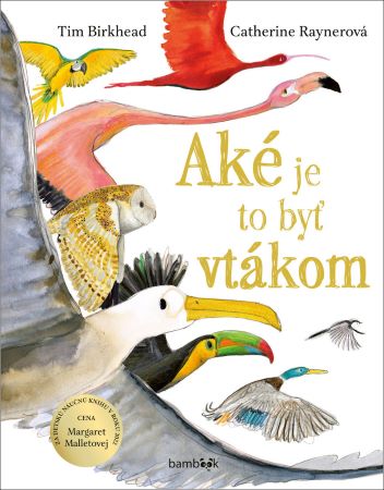 Aké je to byť vtákom? - Najlepšia náučná kniha pre deti v roku 2022