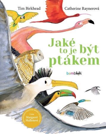 Jaké to je být ptákem - 