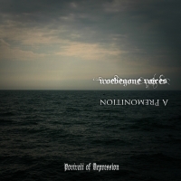 Woebegone Voices / A Premonition - Portrait of Depression (CDr)