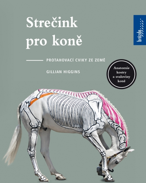 Strečink pro koně - Protahovací cviky ze země.Anatomie kostry a svaloviny koně.
