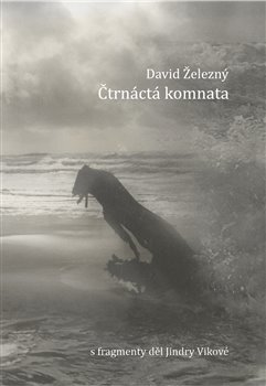 Čtrnáctá komnata - 