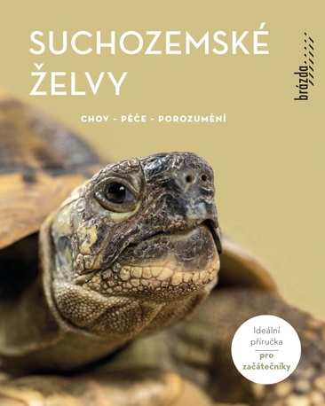 Suchozemské želvy - 