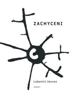 Zachyceni - 