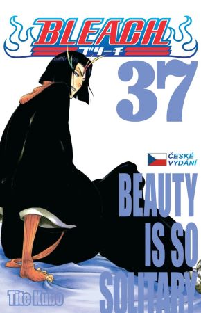 Bleach 37: Beauty Is So Solitary - 