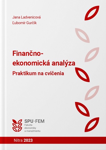 Finančno - ekonomická analýza