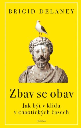 Zbav se obav - 