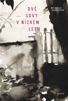 Dvě sovy v nízkém letu - 
