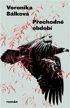 Přechodné období - 