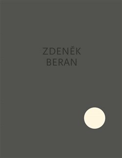 Elevace / Elevation - Zdeněk Beran - Rehabilitační oddělení Dr. Dr.