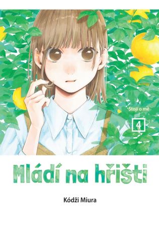 Mládí na hřišti 4: Stojí o mě - Mládí na hřišti (4.díl)