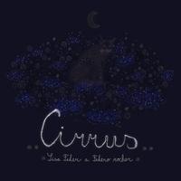 Sisa Feher & Fehero Rocher:  Cirrus - CD