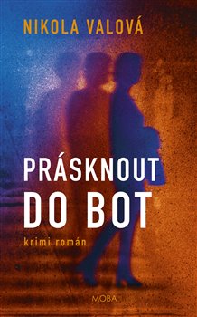Prásknout do bot - 