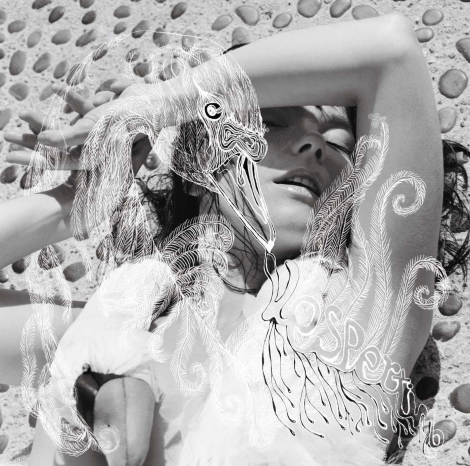 Björk:  Vespertine - 