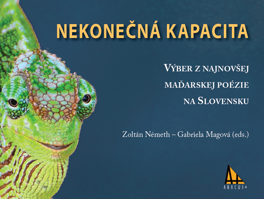 Nekonečná kapacita - kolektív autorstva