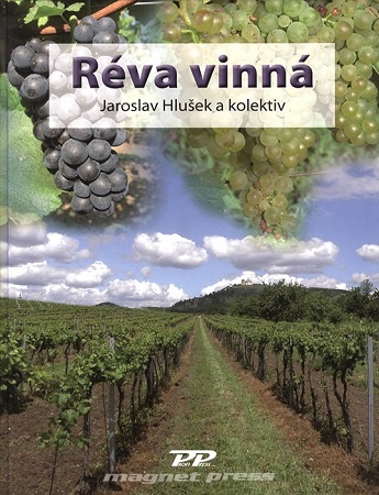Réva vinná - 