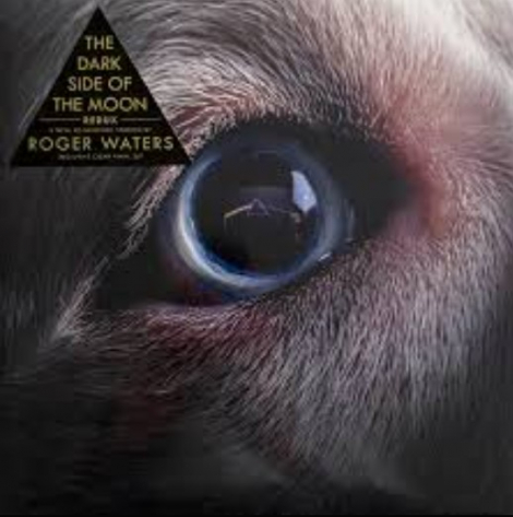 Roger Waters:  The Dark Side Of The Moon / Live - LP
