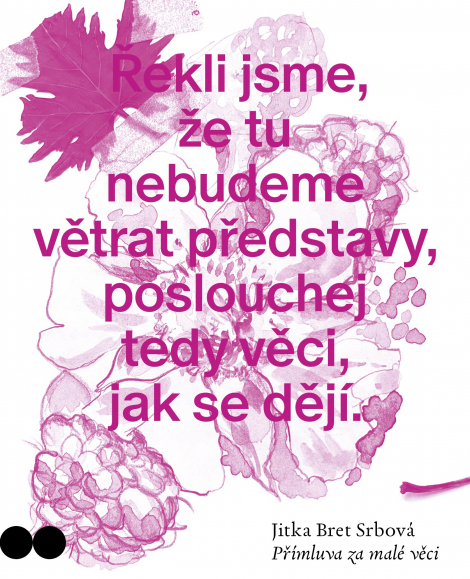 Přímluva za malé věci - 