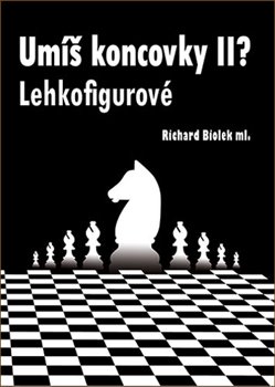 Umíš koncovky II? (Lehkofigurové) - 