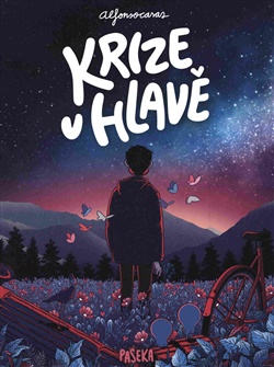 Krize v hlavě - 