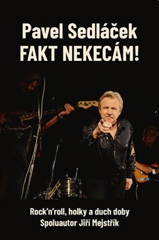 Fakt nekecám! - Rock'n'roll, holky a duch doby