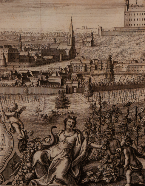 Ľudia a mesto / The city and its people - Elena Kurincová a kol.