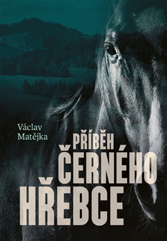 Příběh černého hřebce - 