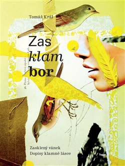 Zasklambor - 