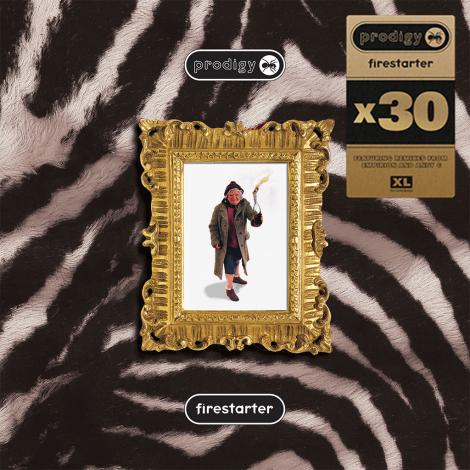 Prodigy:  Firestarter - 