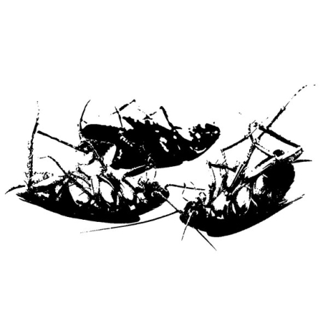 Blattaria - Dream, Dwell, Die (CD)