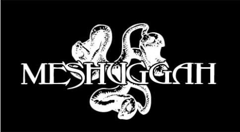 MESHUGGAH - logo kapely