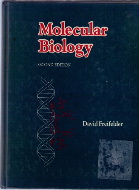 Molecular Biology Second Edition - 