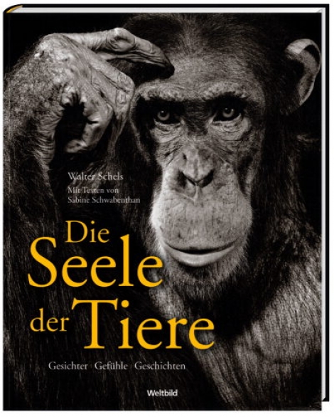 DIE SEELE DER TIERE - Schels Walter