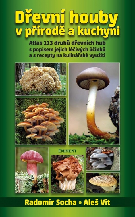 Dřevní houby v přírodě a kuchyni - 