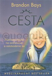 CESTA - Bays Brandon