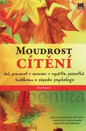 MOUDROST CÍTĚNÍ - Preece Rob