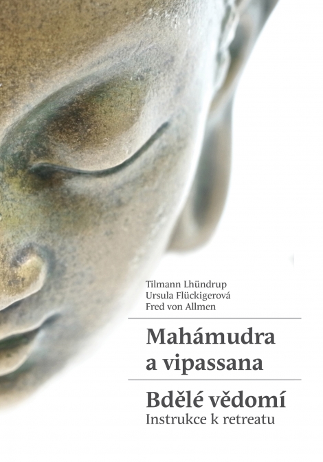 Mahámudra a vipassana - Bdělé vědomí - Tilmann Lhündrup, Ursula Flückigerová, Fred von Allmen