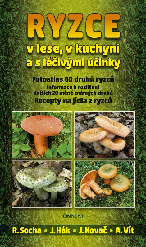 Ryzce – v lese, v kuchyni a s léčivými účinky - 