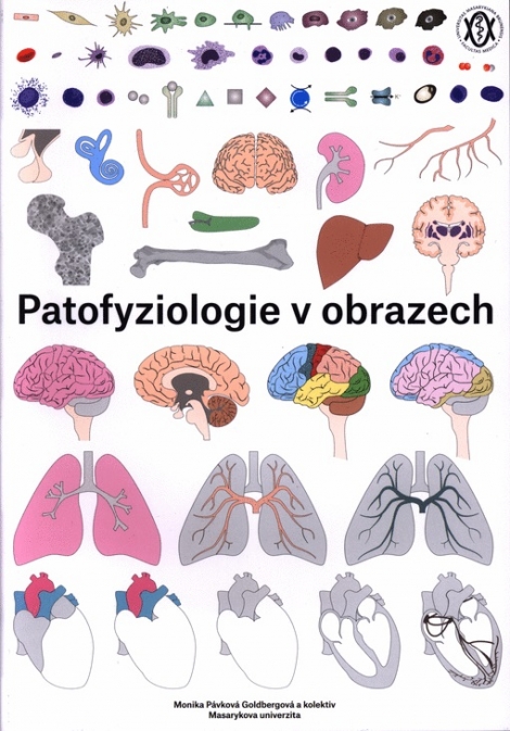 Patofyziologie v obrazech - Monika Pávková Goldbergová