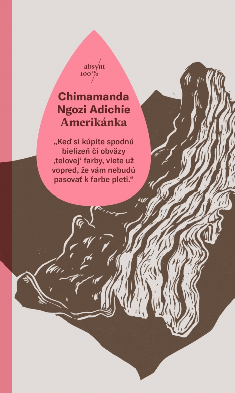 Amerikánka - Chimamanda Ngozi Adichie
