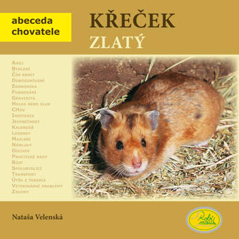 Křeček zlatý - 