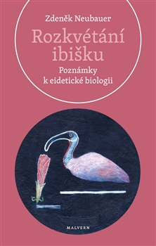 Rozkvétání ibišku - Poznámky k eidetické biologii