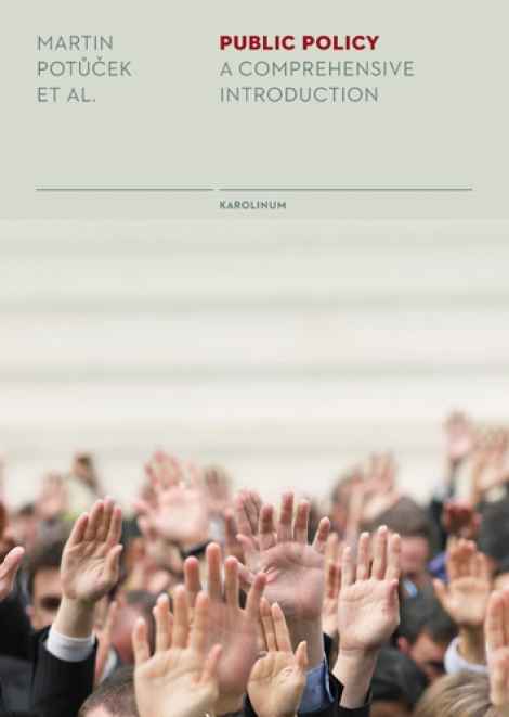 Public Policy - A comprehensive introduction