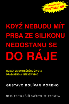 Když nebudu mít prsa ze silikonu nedostanu se do nebe - 
