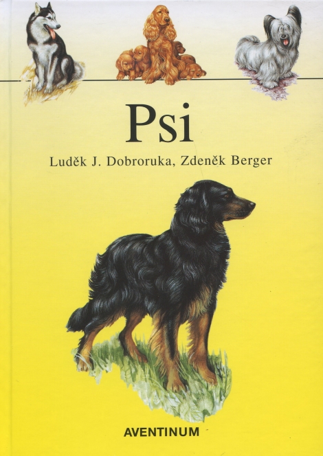 Psi - 